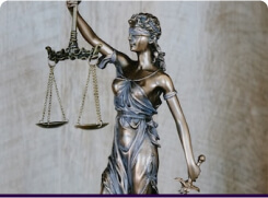Pre-Law